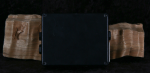 
                            Tech 21 SansAmp Bass Driver DI